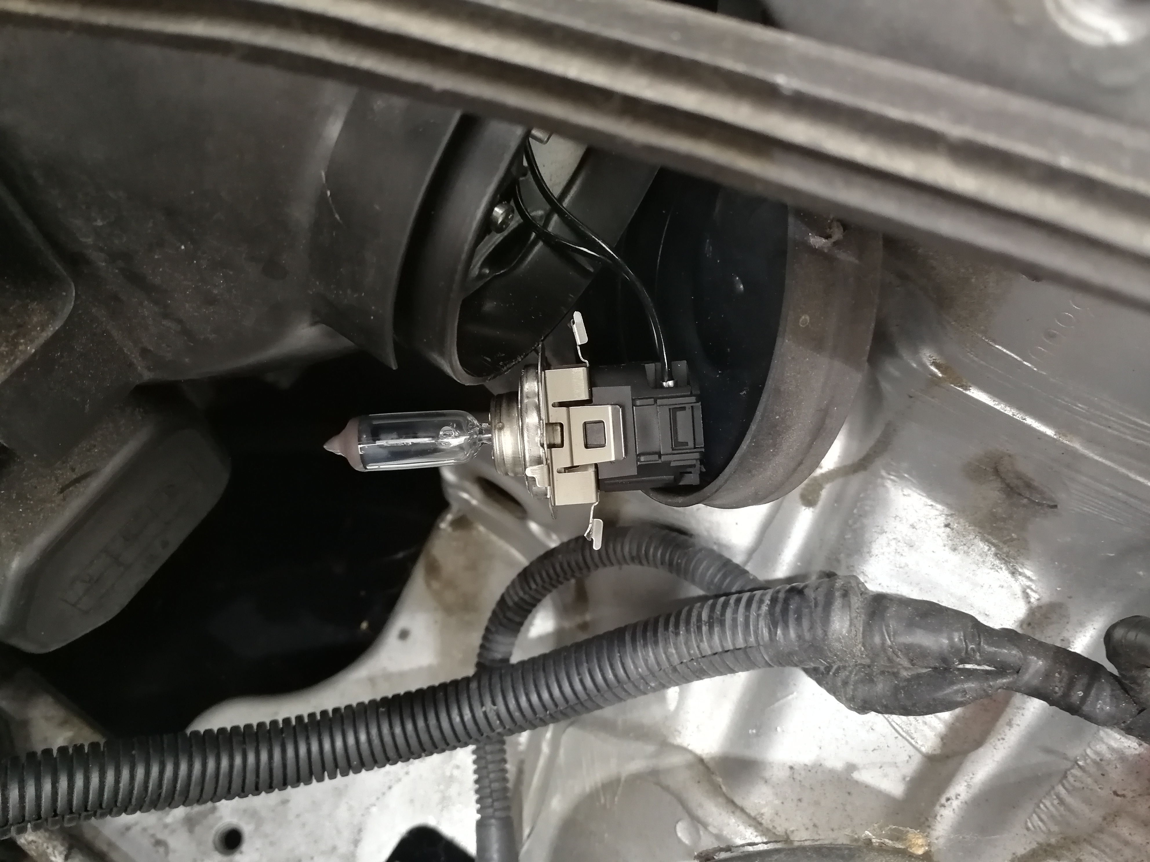 Bulb and Bulb Retainer 02.jpg