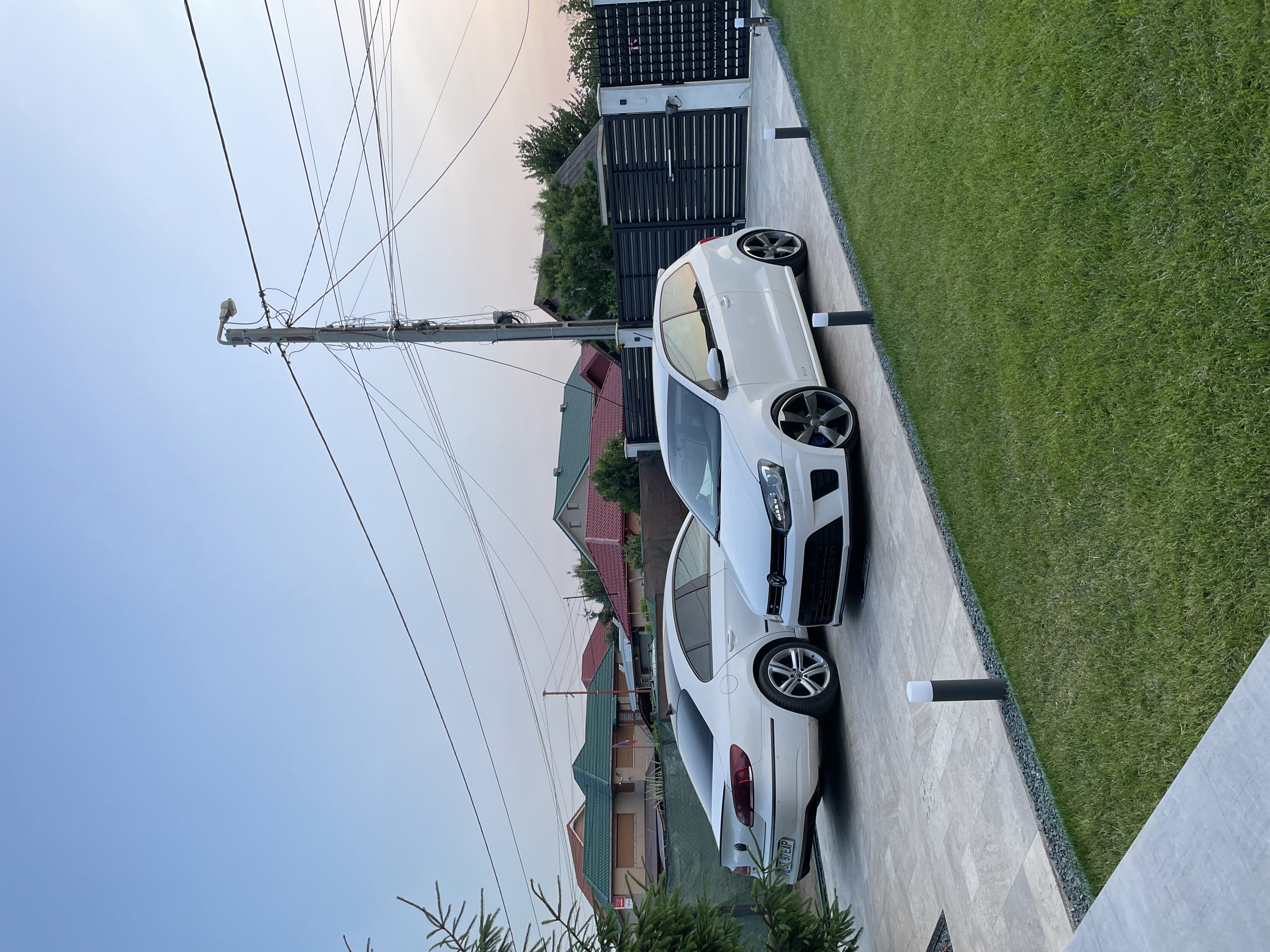 IMG_2972.jpeg