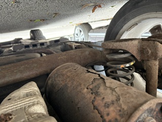 image1.jpeg