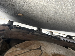 image7.jpeg