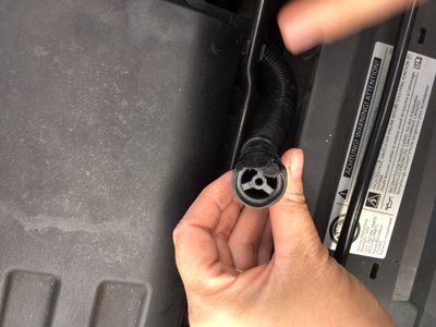 image1.jpeg