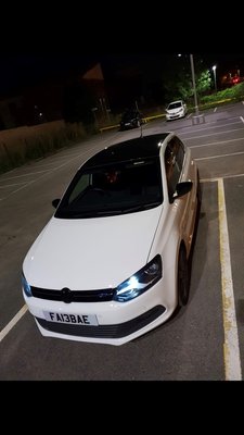 polo.jpg