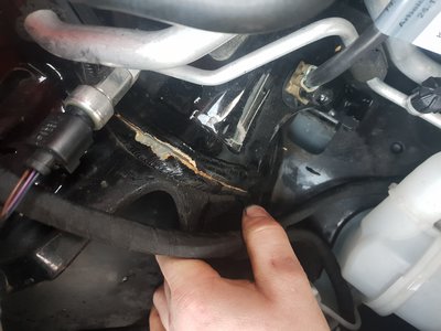 20190120_155124.jpg