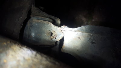 20190202_170301.jpg