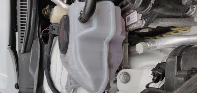 IMG_20200819_164641.jpg