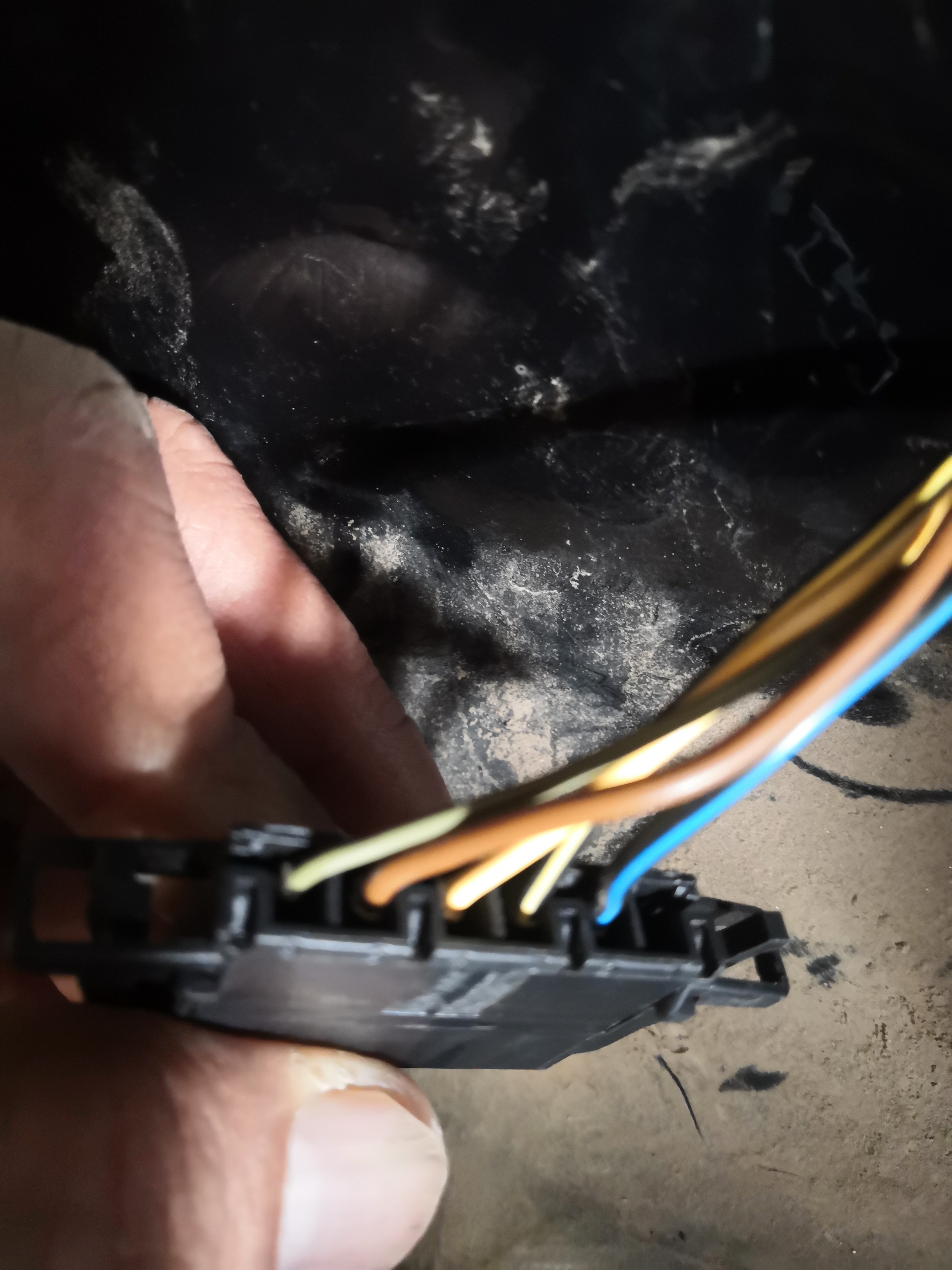 LH Tail wire 2.jpg