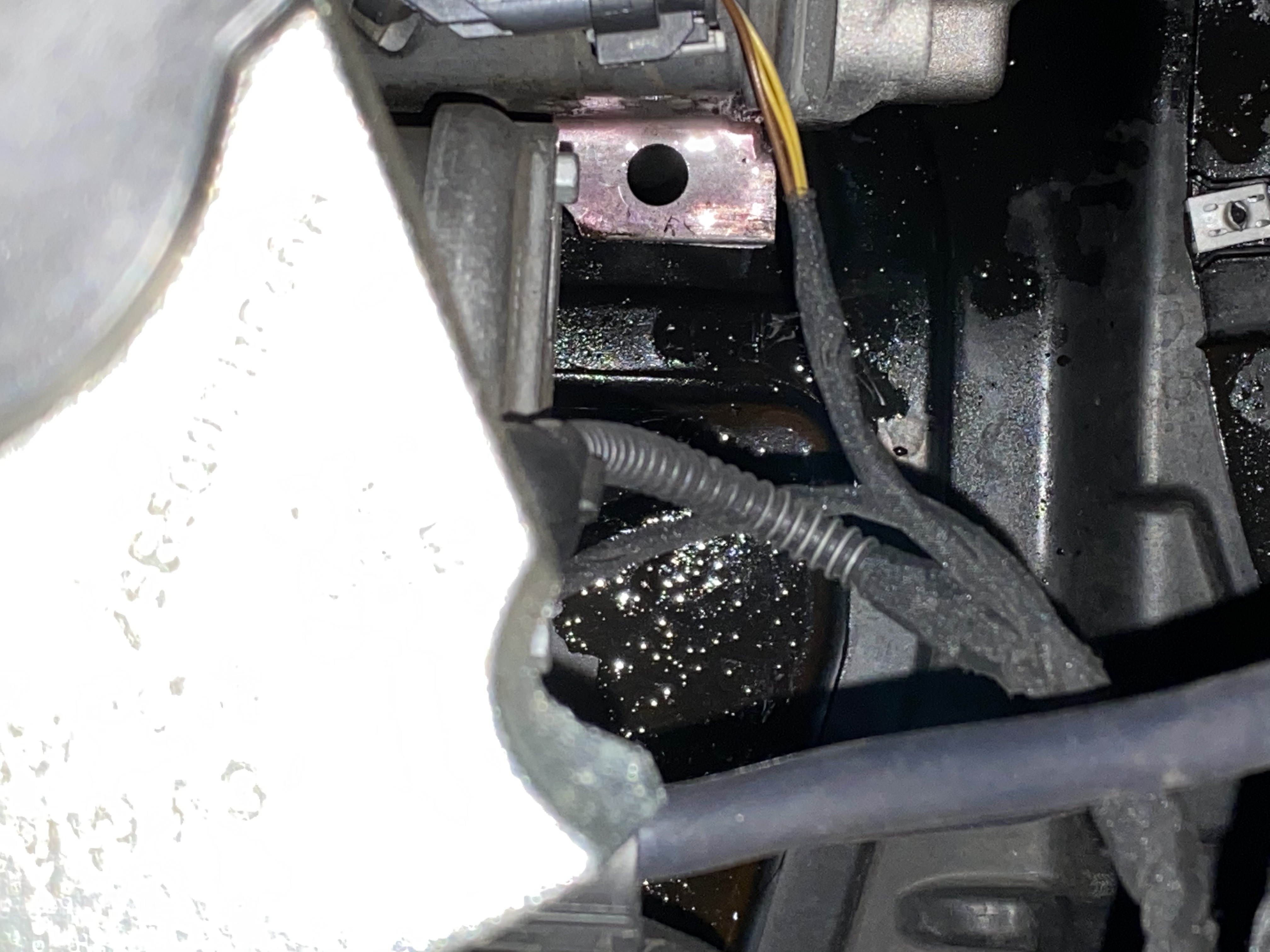 CE720805-BDF7-414F-A958-BD928B9BB885.jpeg