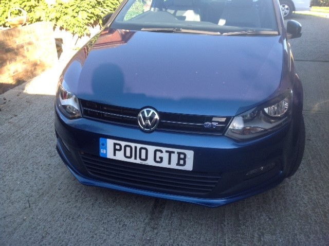 polo2.jpg