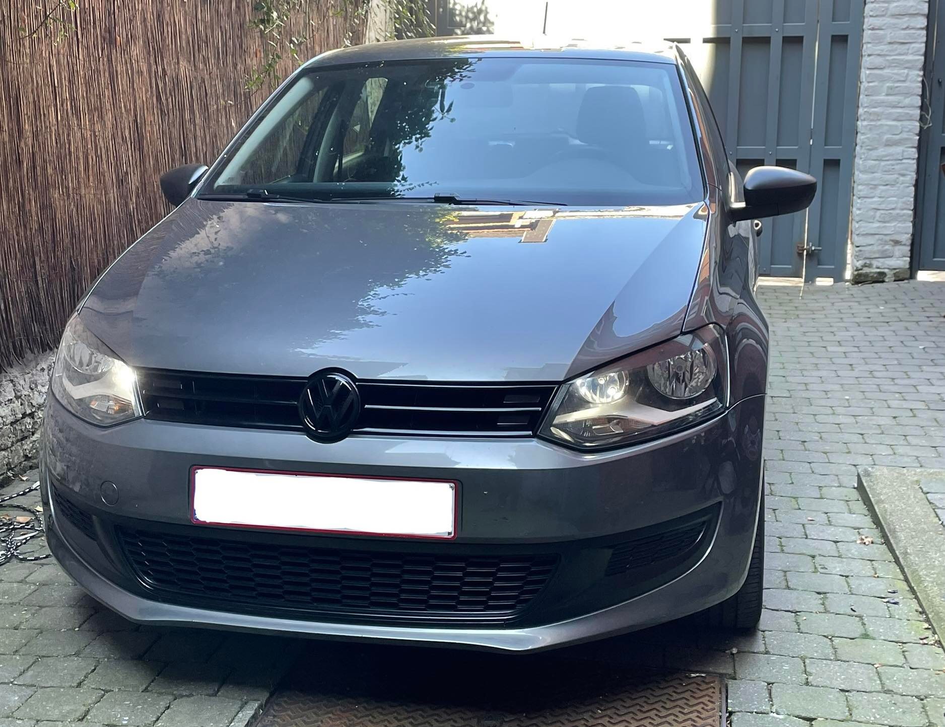 Polo1.jpg