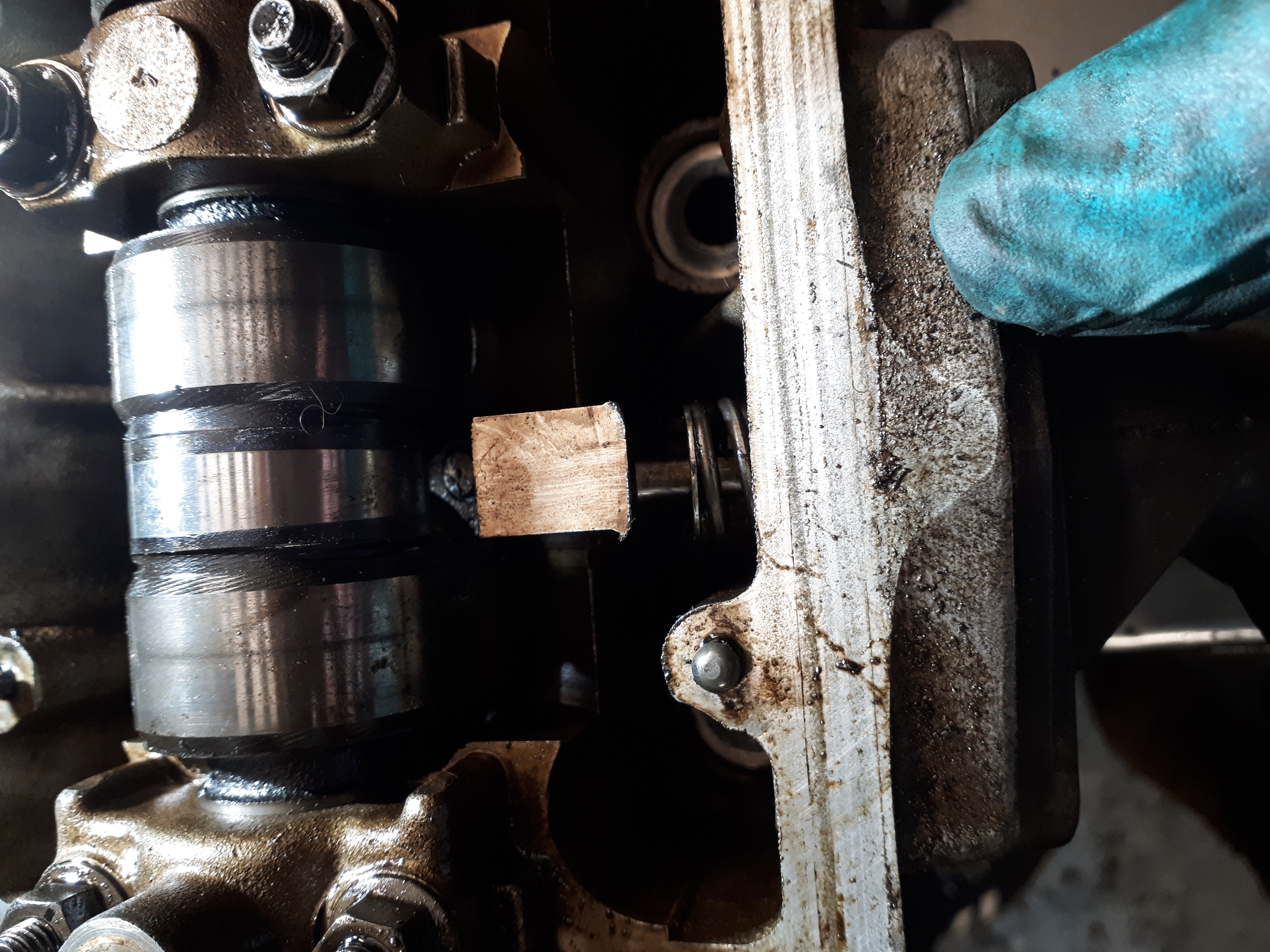 20220209_121032.jpg