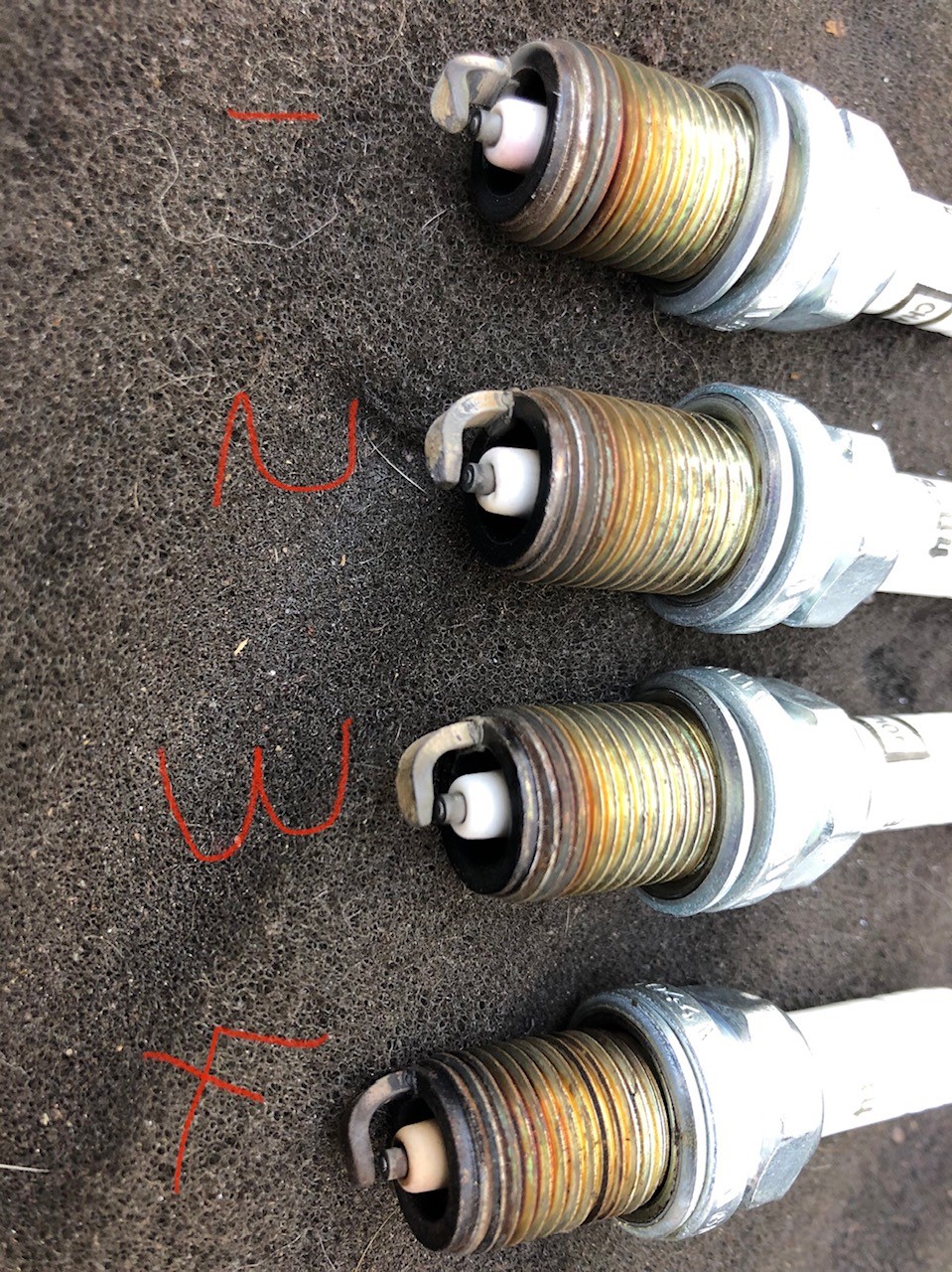 spark plugs.jpg