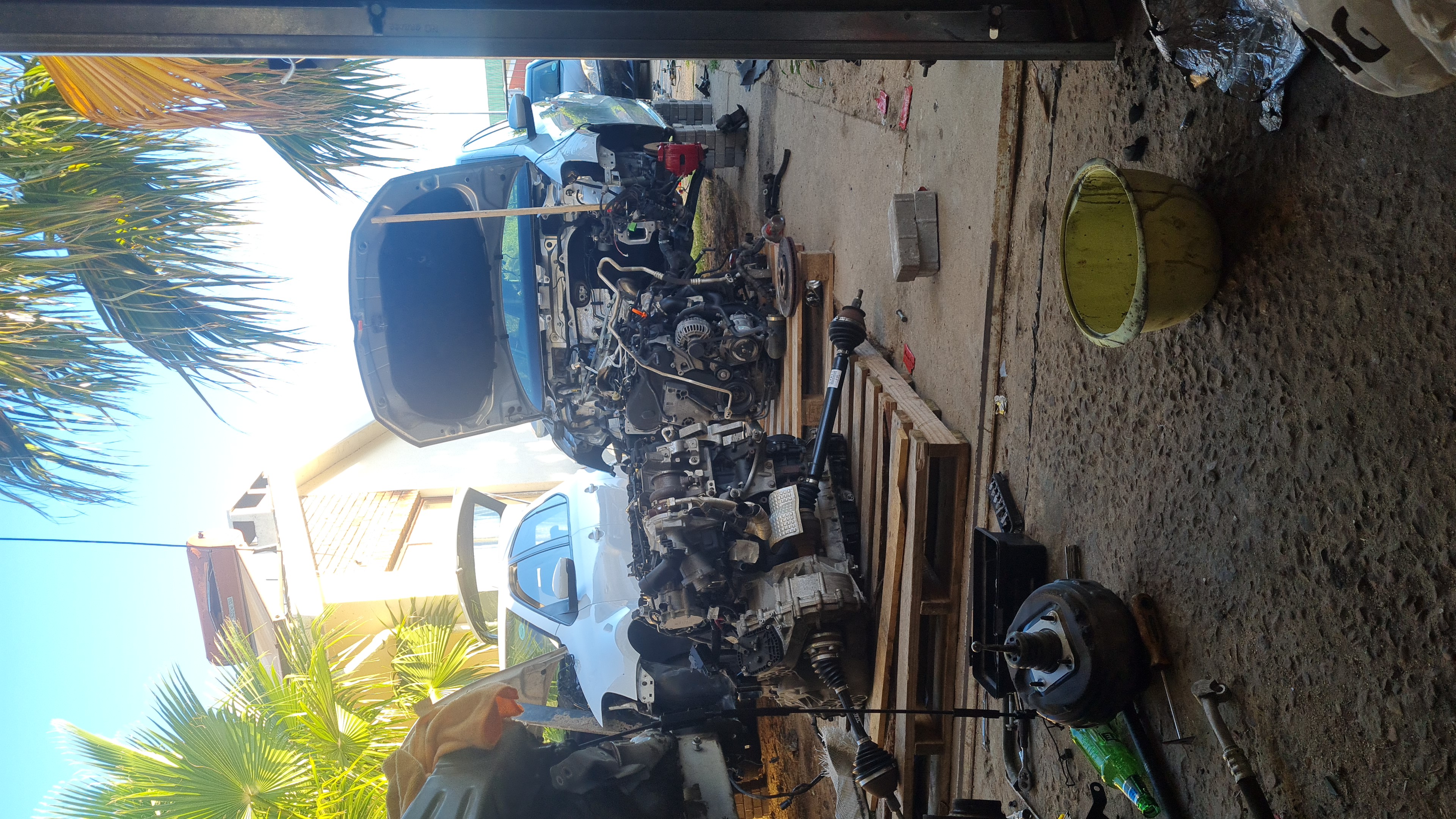 IMG-20211229-WA0012.jpeg