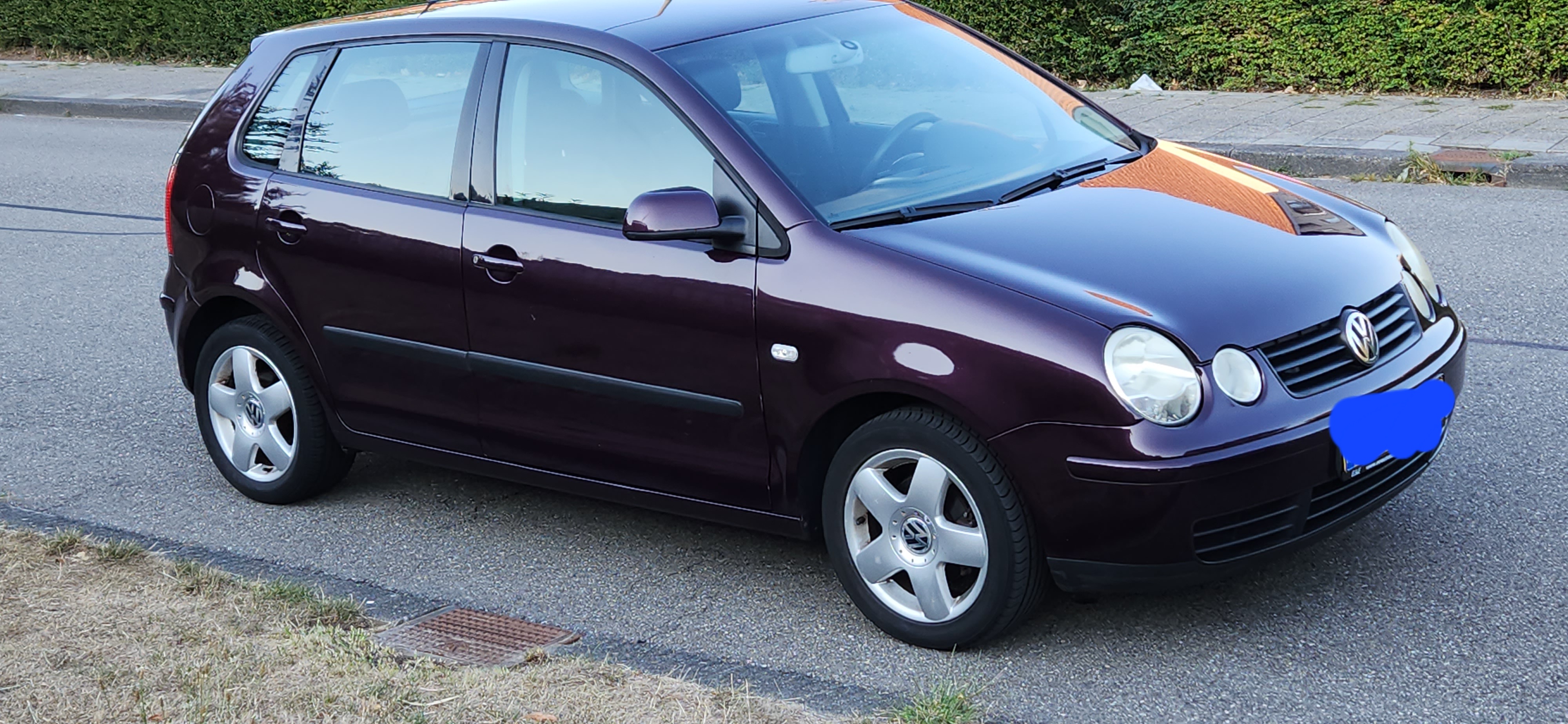 My polo.jpg
