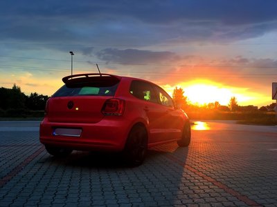 redpolo6r_2.JPG