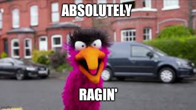 5l9g0i.jpg