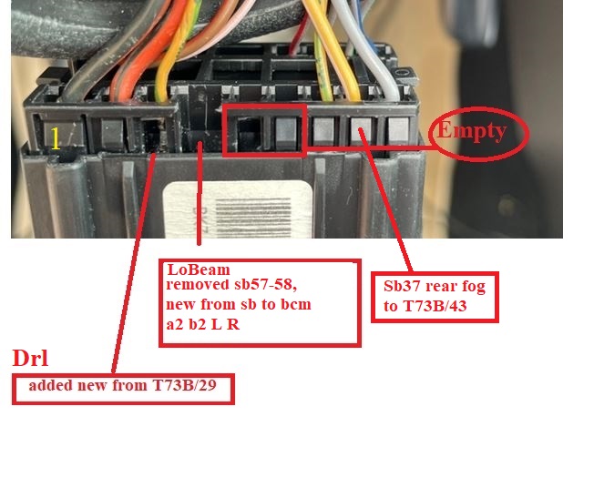 T17 11.JPG